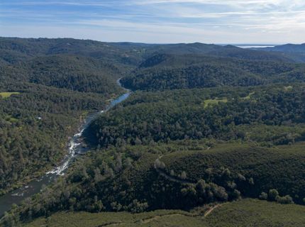 Storksbill Rd, Pilot Hill, CA 95664 Photo