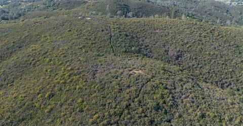 Storksbill Rd, Pilot Hill, CA 95664 Photo