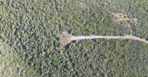 Storksbill Rd, Pilot Hill, CA 95664 Photo