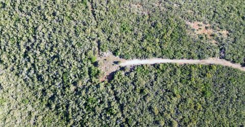 Storksbill Rd, Pilot Hill, CA 95664 Photo