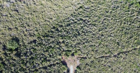 Storksbill Rd, Pilot Hill, CA 95664 Photo