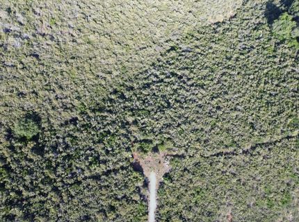 Storksbill Rd, Pilot Hill, CA 95664 Photo