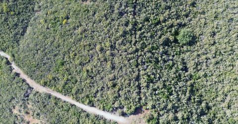 Storksbill Rd, Pilot Hill, CA 95664 Photo