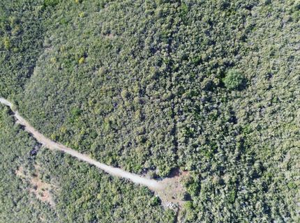 Storksbill Rd, Pilot Hill, CA 95664 Photo