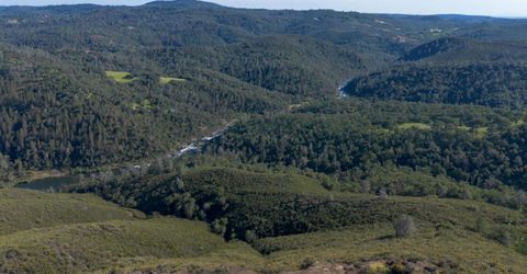 Storksbill Rd, Pilot Hill, CA 95664 Photo