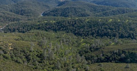 Storksbill Rd, Pilot Hill, CA 95664 Photo