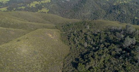 Storksbill Rd, Pilot Hill, CA 95664 Photo