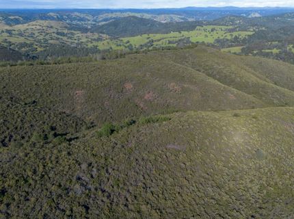 Storksbill Rd, Pilot Hill, CA 95664 Photo
