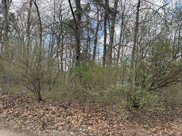 8113 Poplar Drive, Reading, MI 49274