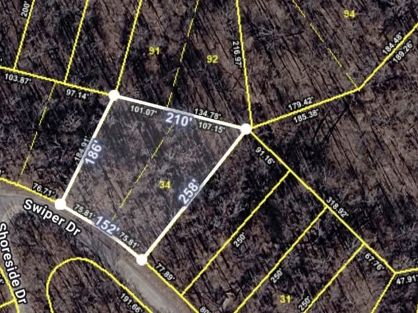 34 Swiper Dr , Smithville, TN 37166