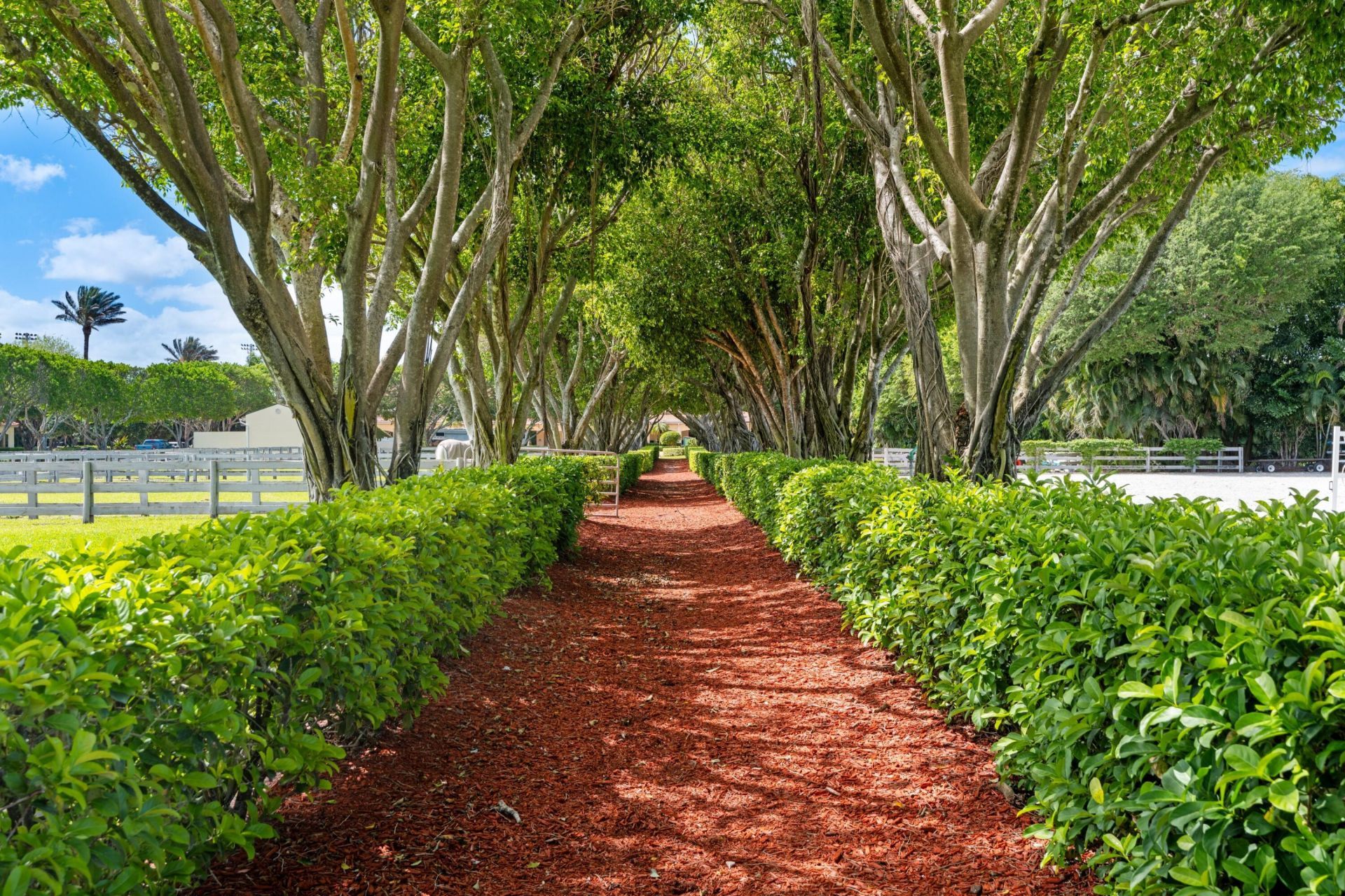 3151 Hickstead Place, Wellington, FL 33414 Photo