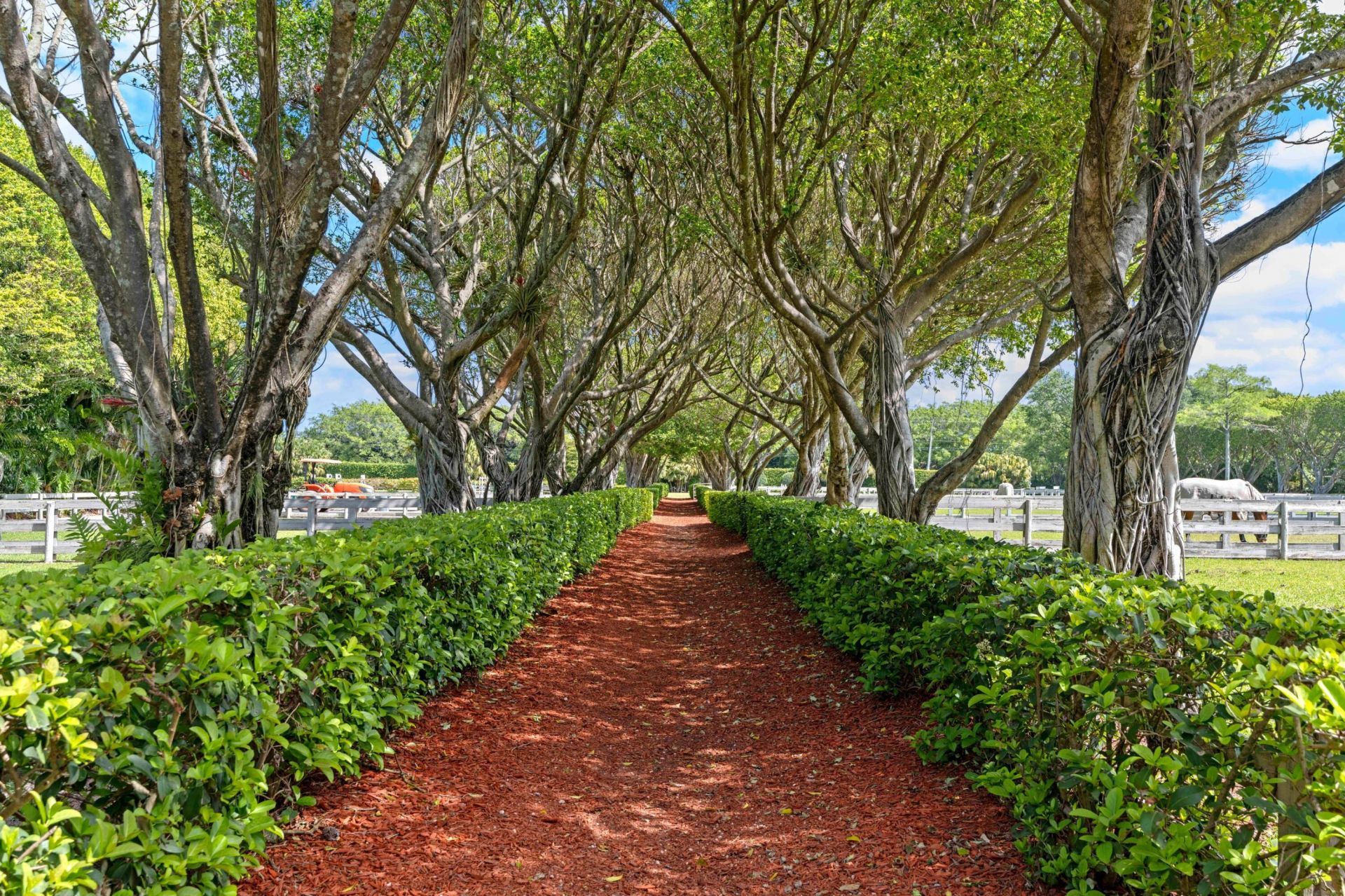 3151 Hickstead Place, Wellington, FL 33414 Photo