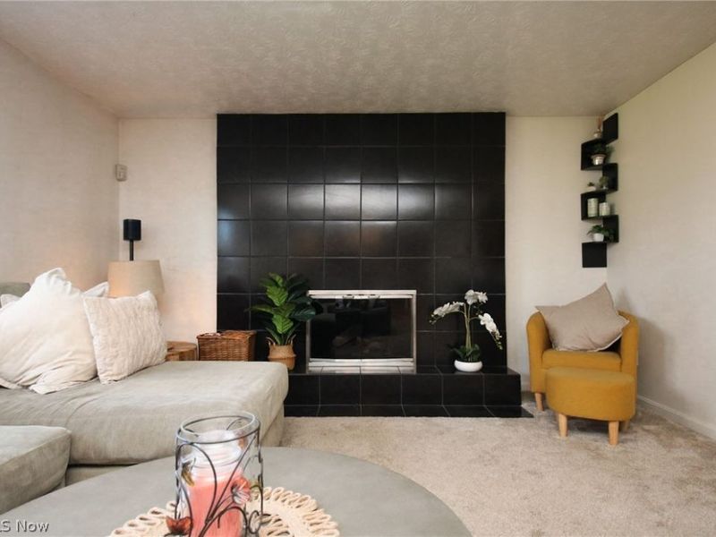 200 Briarbrook Court NE, Howland, OH 44484 Photo 11