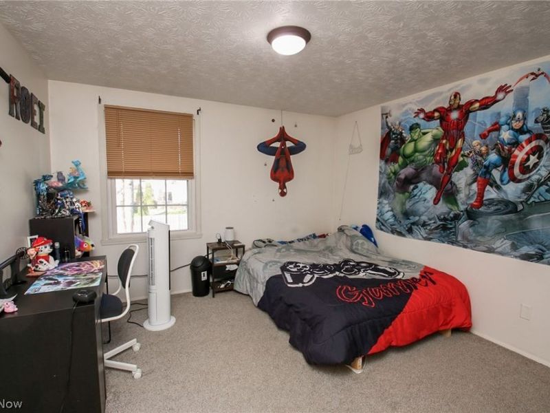 200 Briarbrook Court NE, Howland, OH 44484 Photo 36