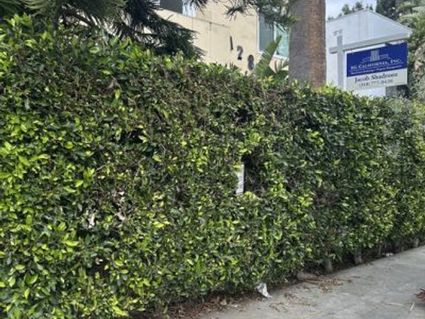 1128 S Oakhurst Drive, Unit 1, Los Angeles, CA 90035