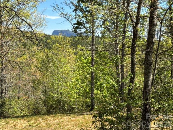 284 Bear Cliff Circle , Nebo, NC 28761