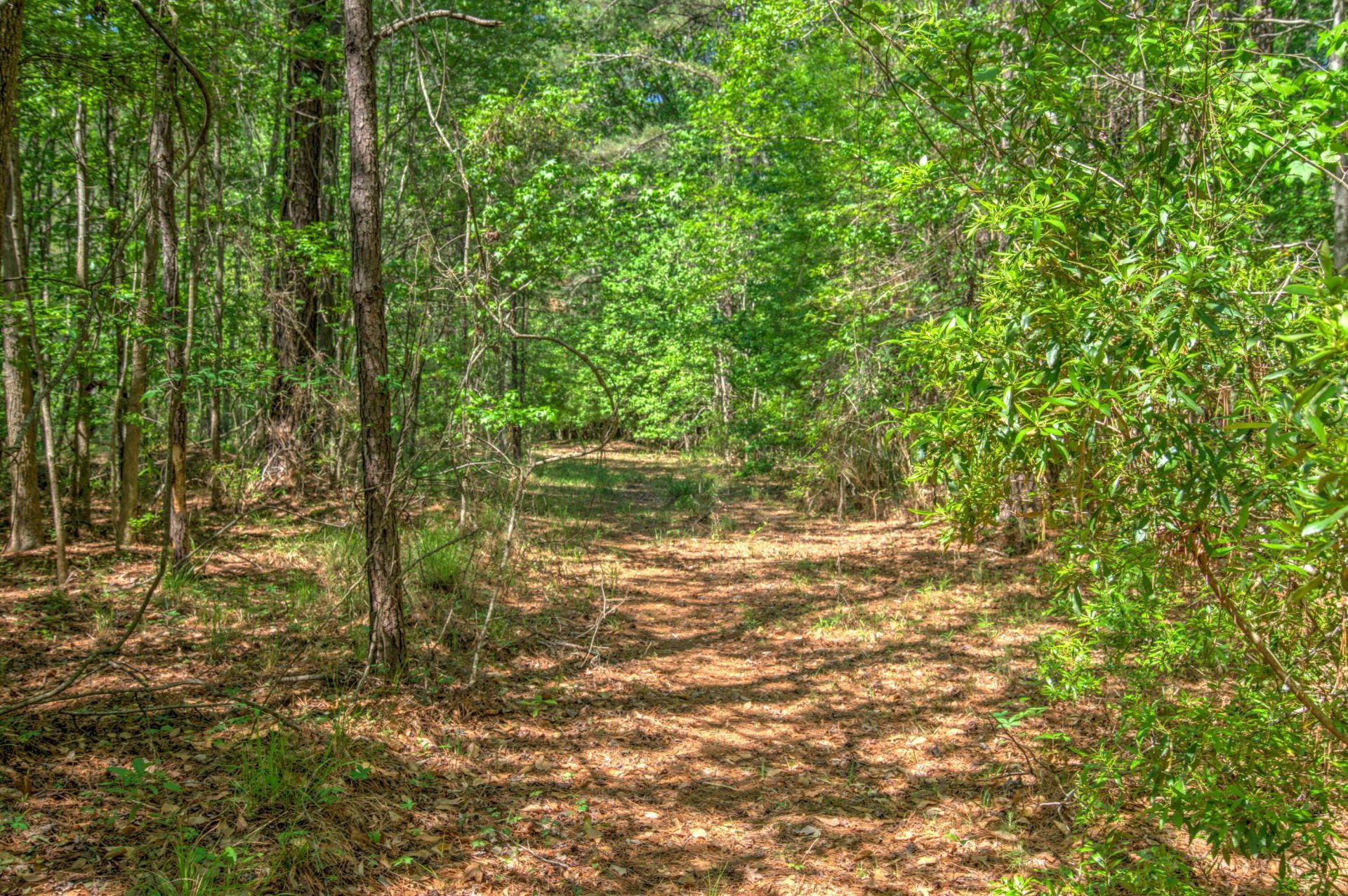 2033 Tacoma Circle Photo 12