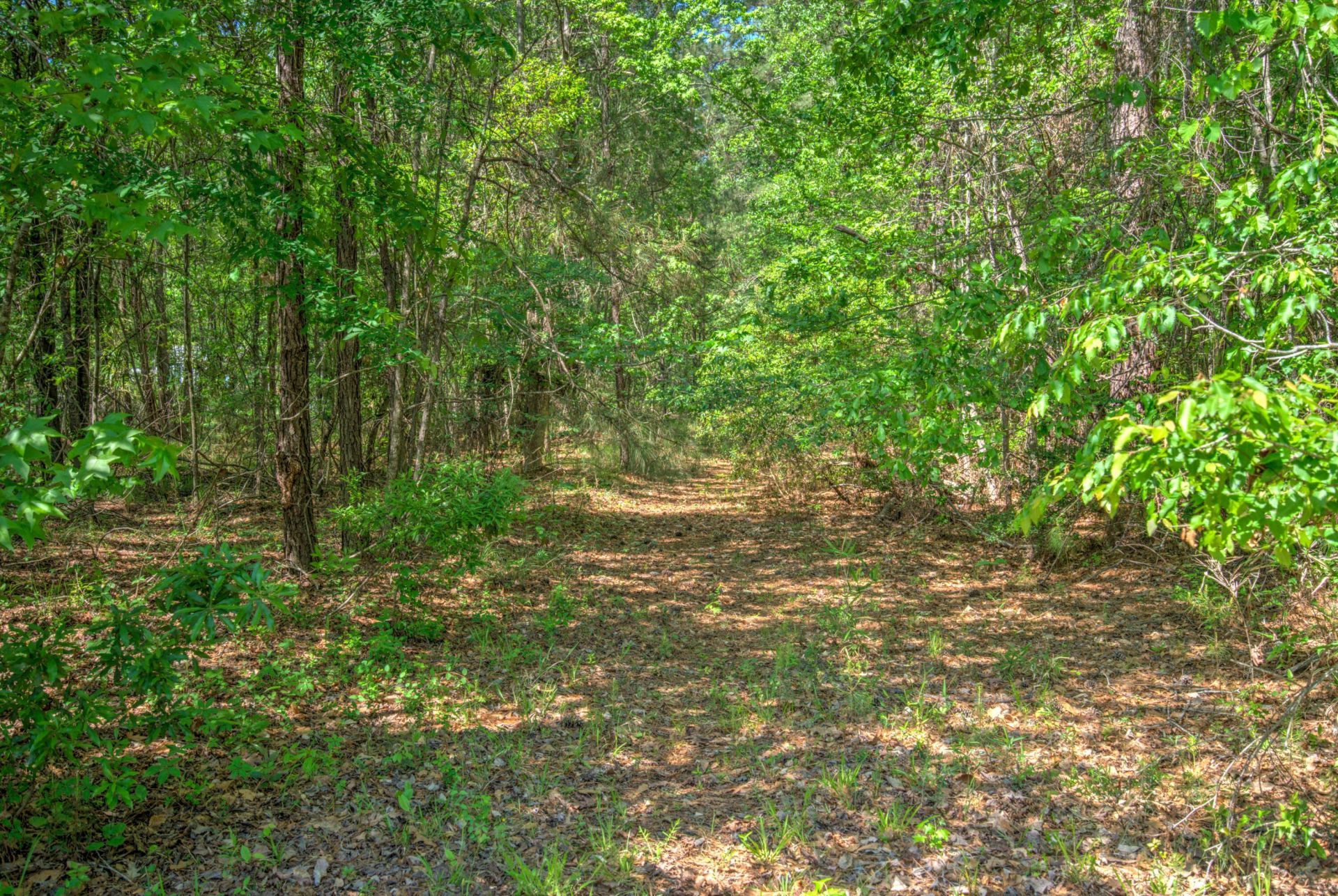 2033 Tacoma Circle Photo 13