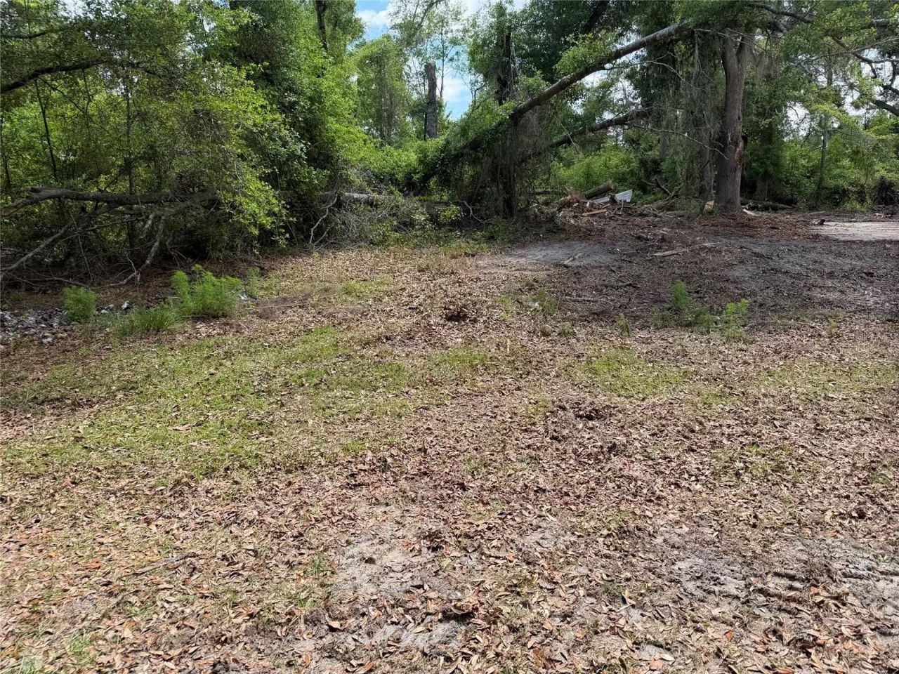 8041 NW Cr 152, Jennings, FL 32053 Photo