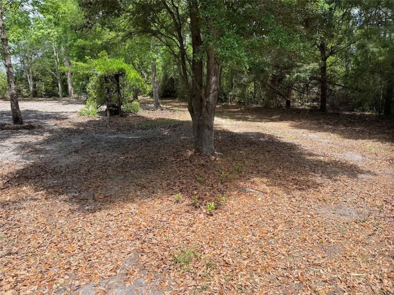 8041 NW Cr 152, Jennings, FL 32053 Photo