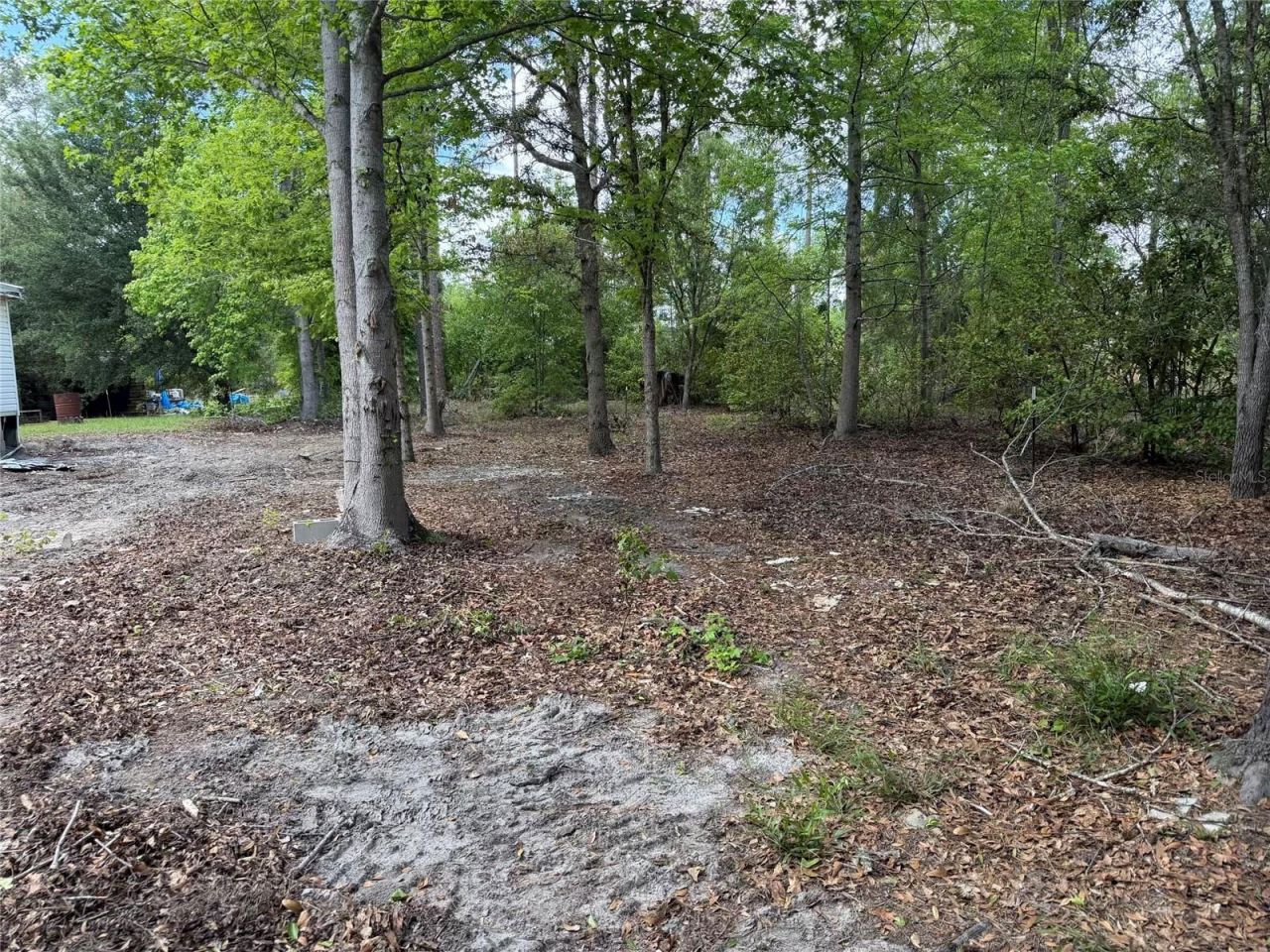 8041 NW Cr 152, Jennings, FL 32053 Photo