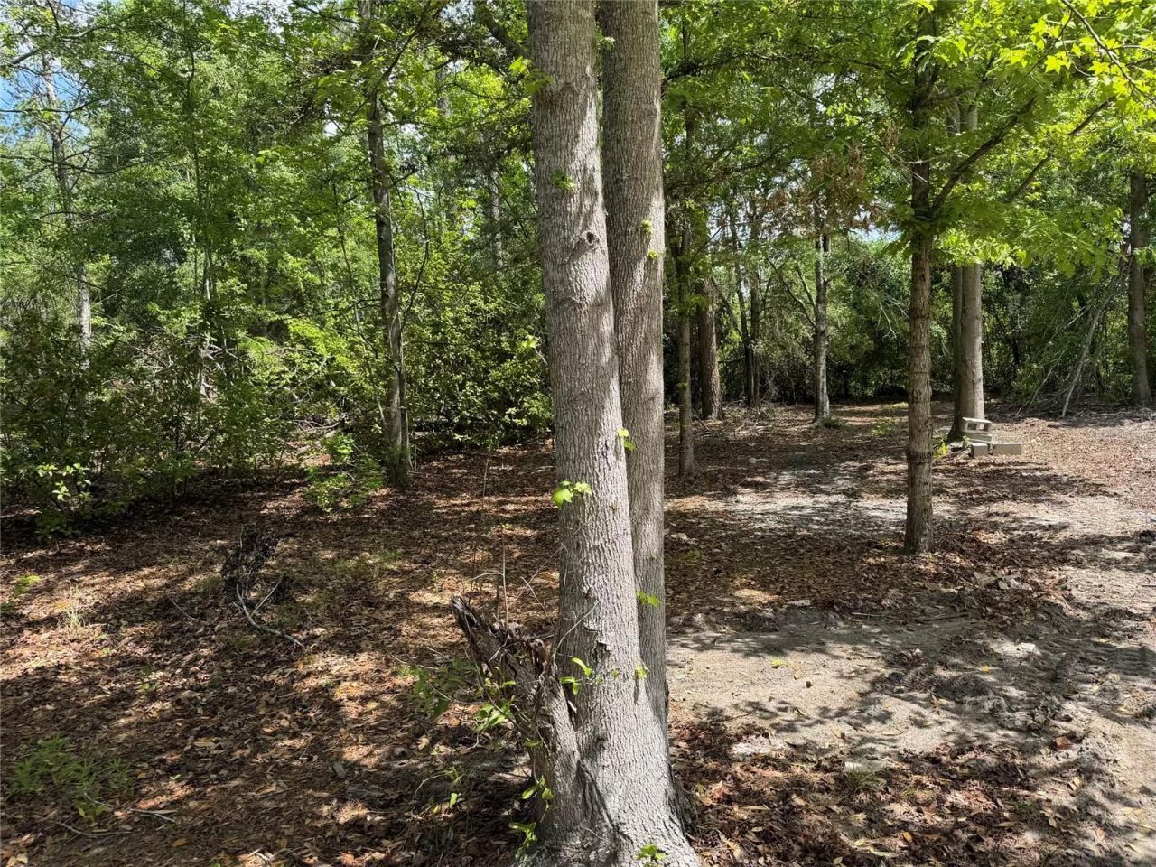 8041 NW Cr 152, Jennings, FL 32053 Photo