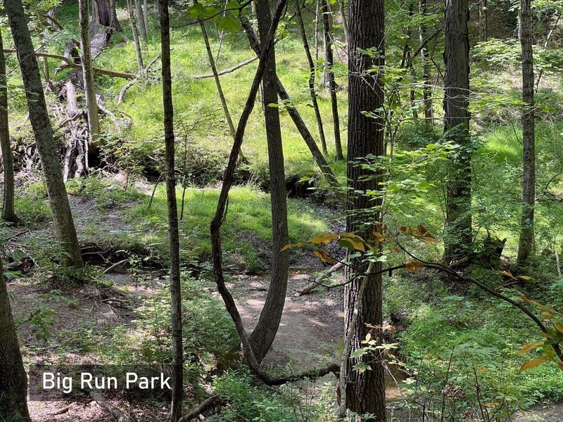 6439 Oharra Street, Galloway, OH 43119 Photo 59