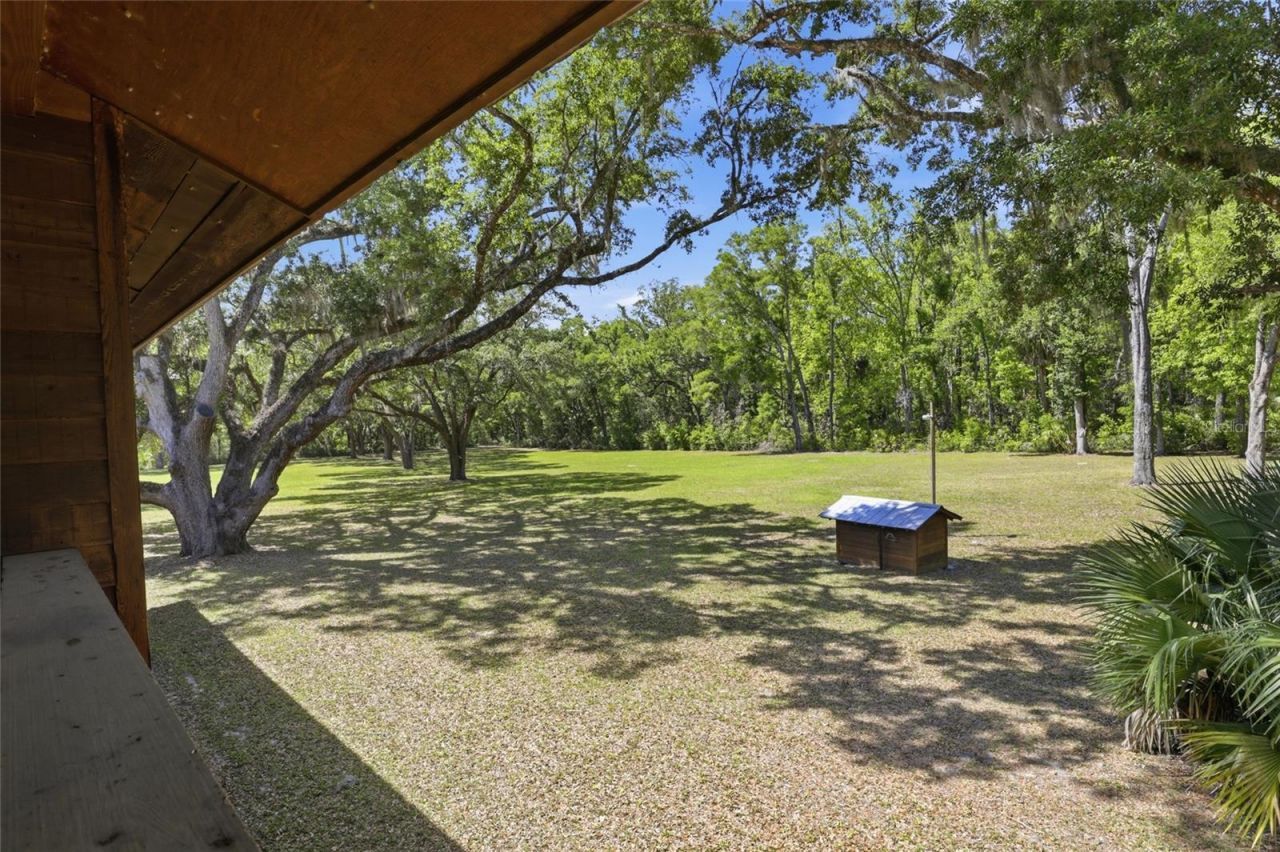 818 NE 783 Street, Old Town, FL 32680 Photo