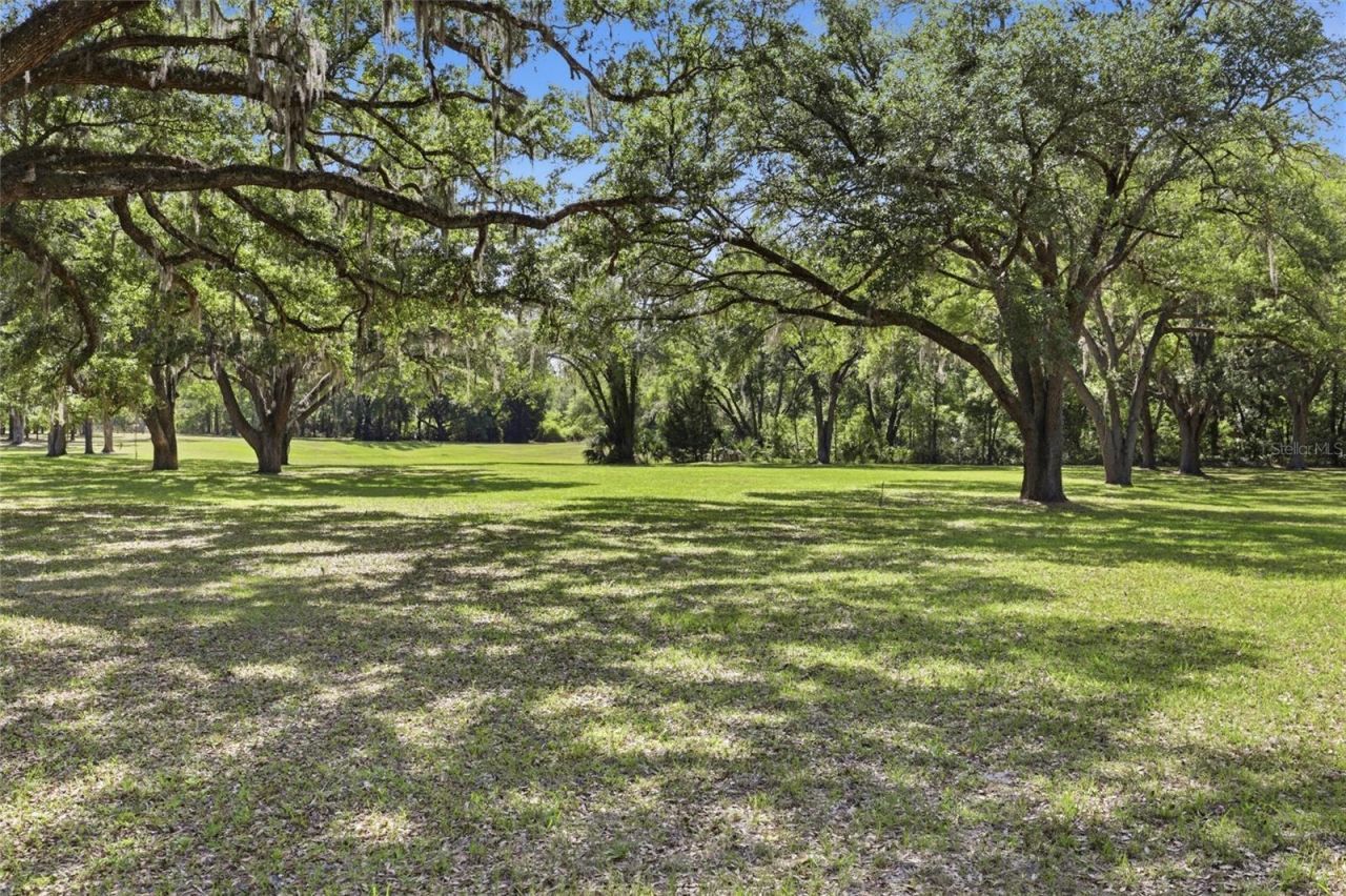 818 NE 783 Street, Old Town, FL 32680 Photo