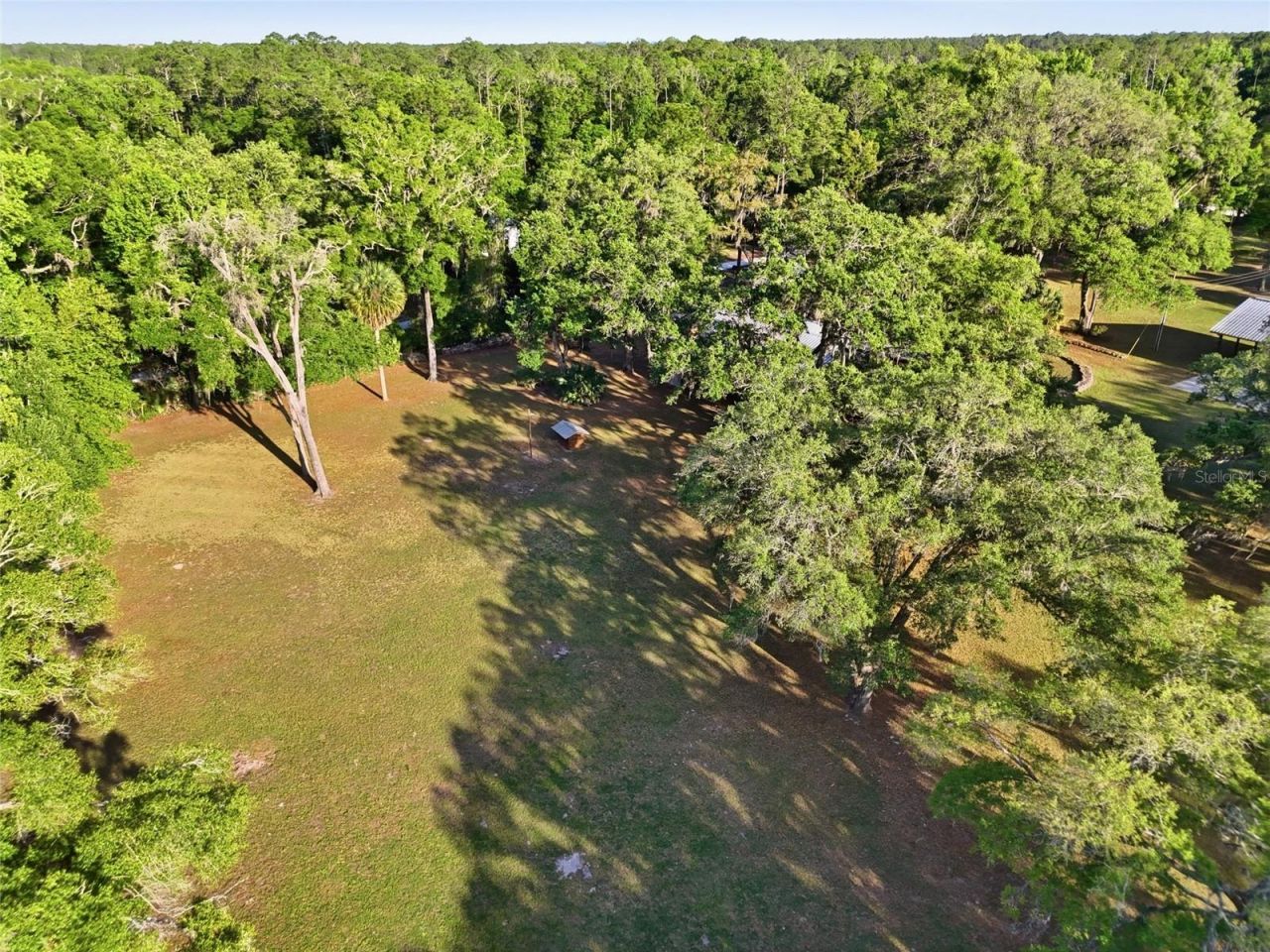 818 NE 783 Street, Old Town, FL 32680 Photo