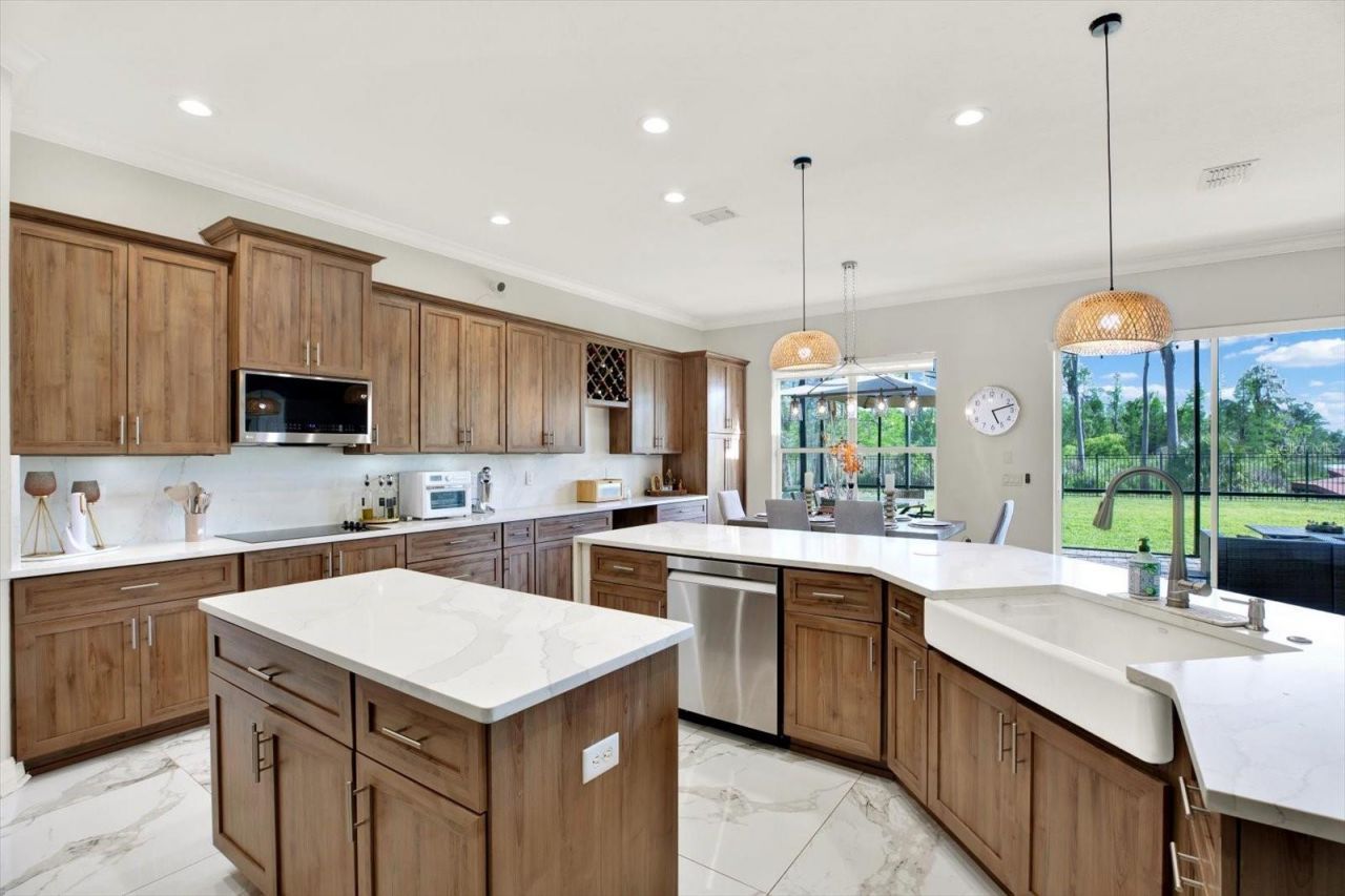 21610 Draycott Way, Land O Lakes, FL 34637 Photo