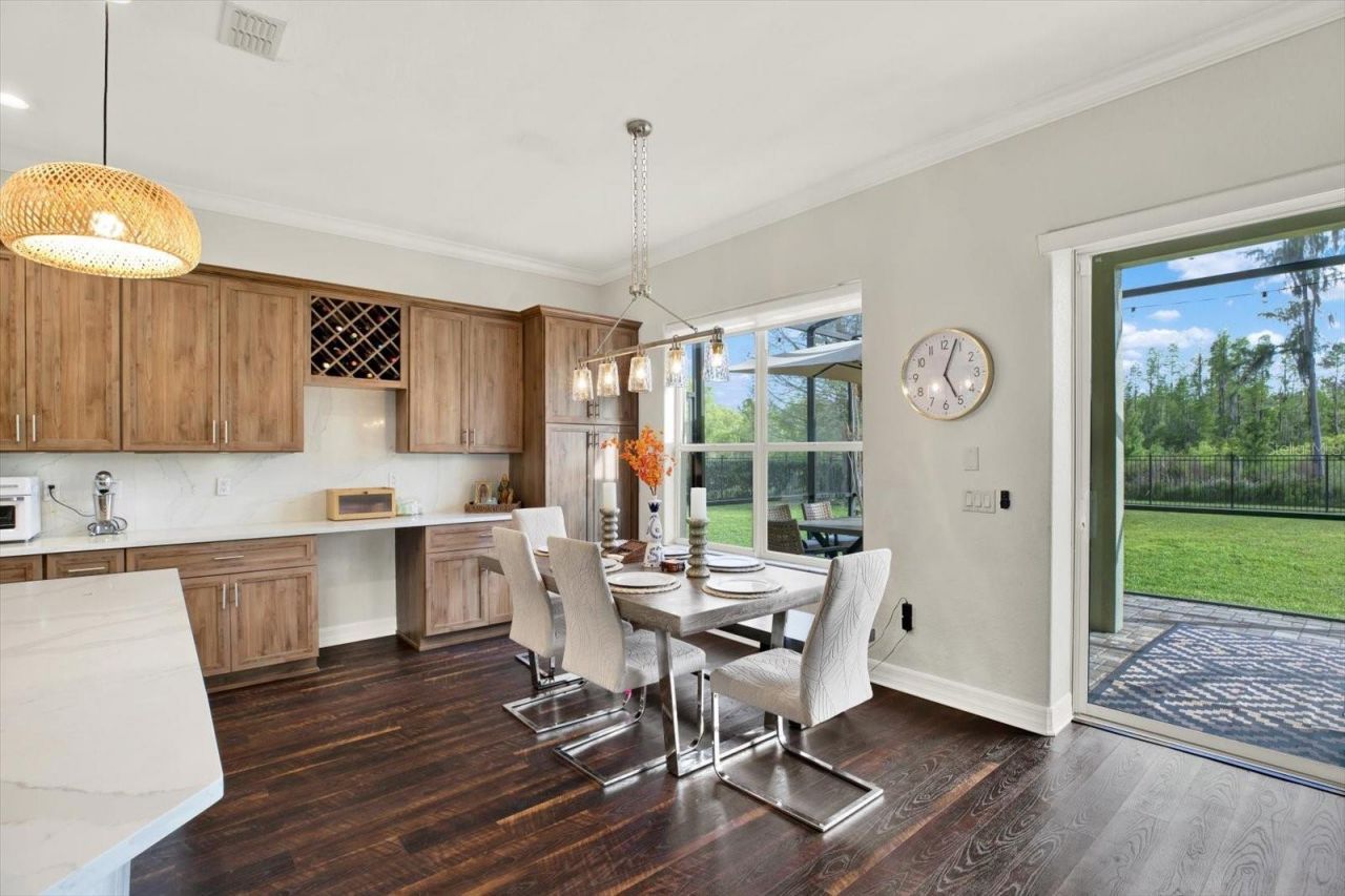 21610 Draycott Way, Land O Lakes, FL 34637 Photo