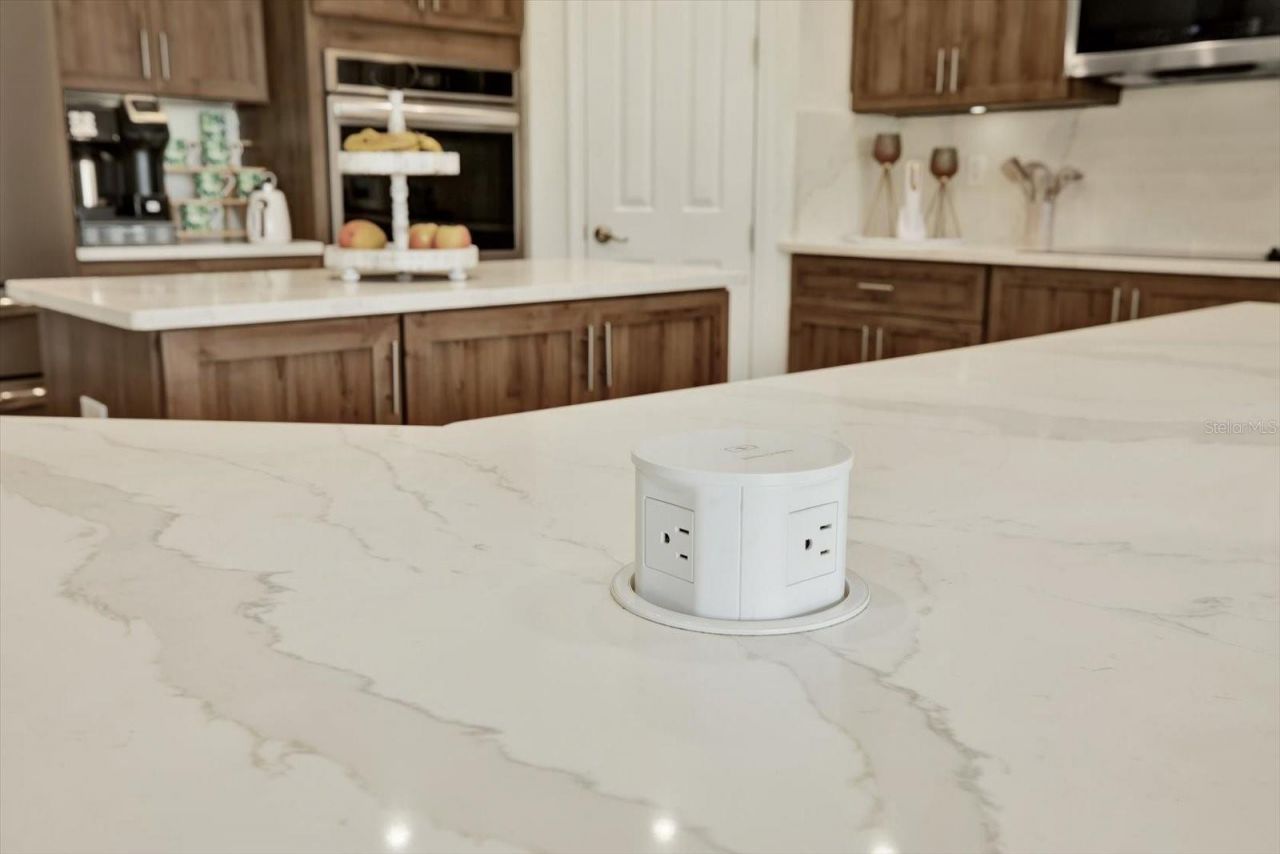 21610 Draycott Way, Land O Lakes, FL 34637 Photo