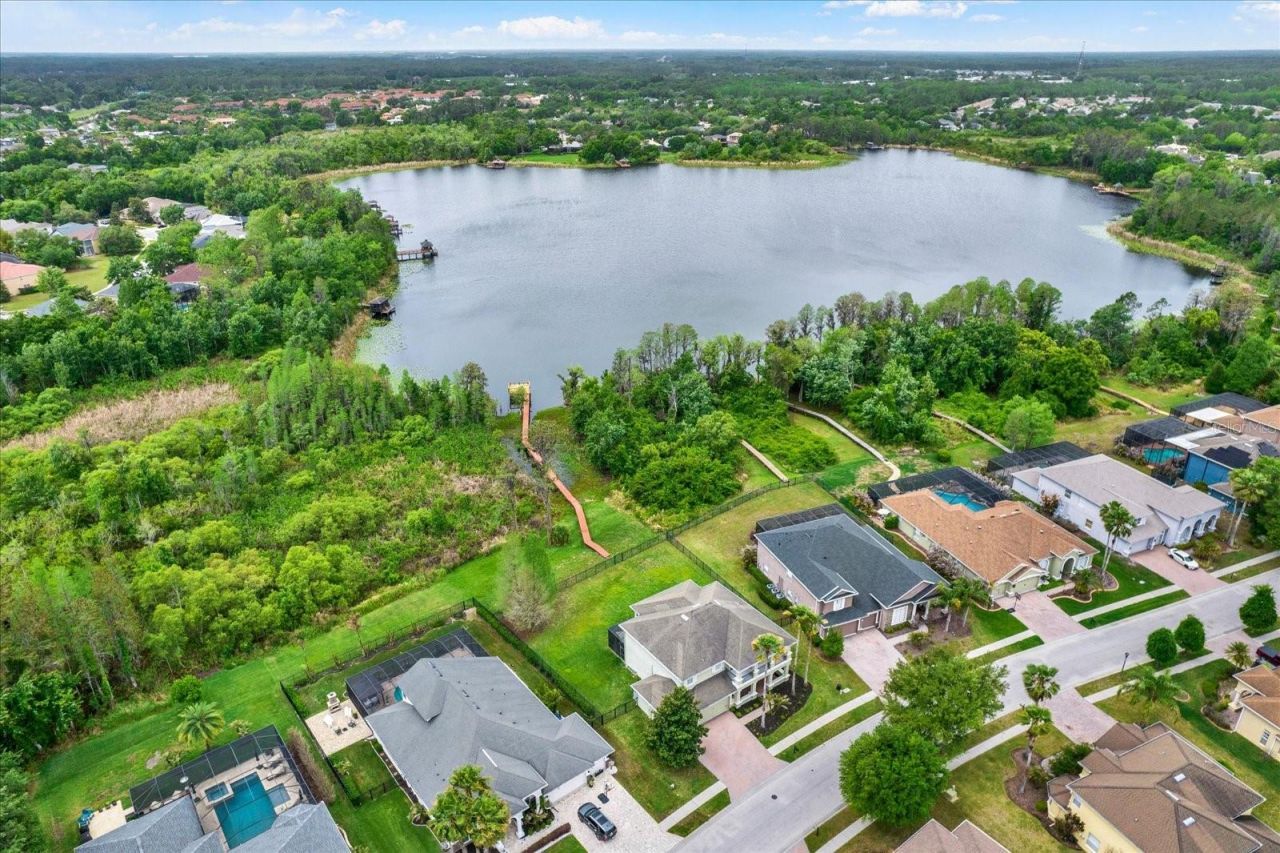 21610 Draycott Way, Land O Lakes, FL 34637 Photo