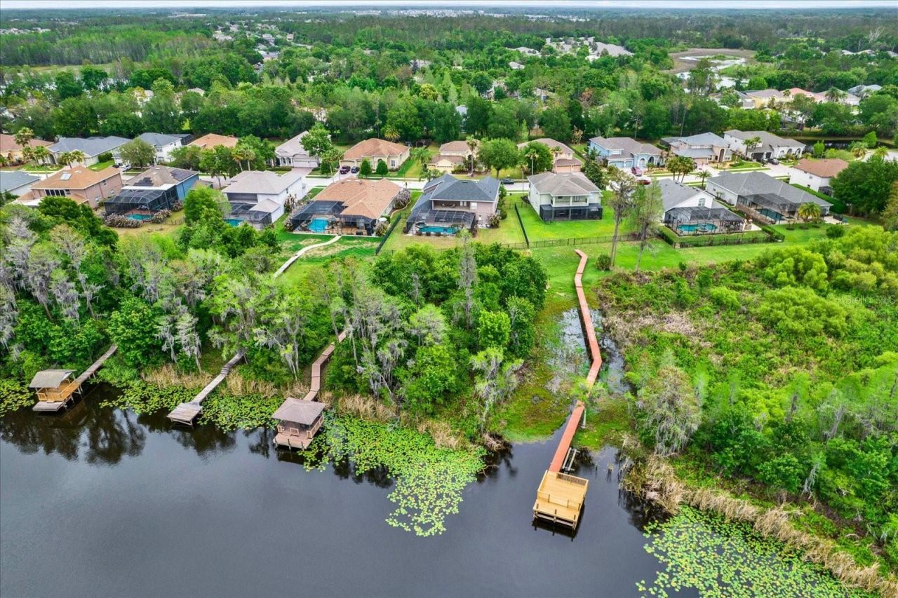 21610 Draycott Way, Land O Lakes, FL 34637 Photo