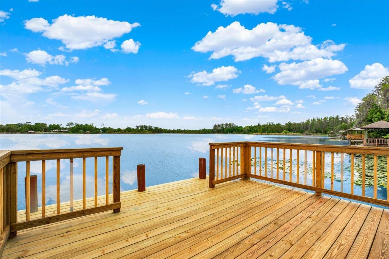 21610 Draycott Way, Land O Lakes, FL 34637 Photo