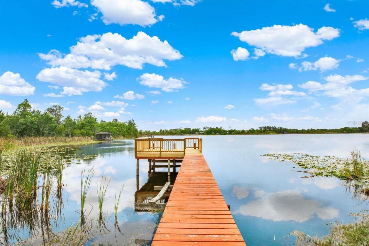 21610 Draycott Way, Land O Lakes, FL 34637 Photo
