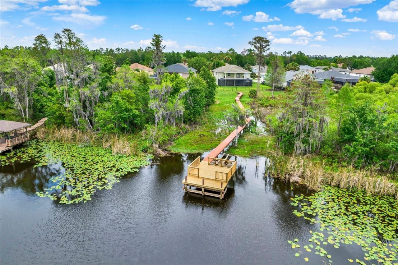 21610 Draycott Way, Land O Lakes, FL 34637 Photo