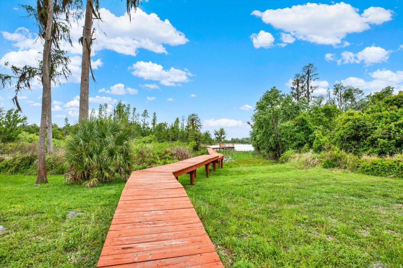 21610 Draycott Way, Land O Lakes, FL 34637 Photo