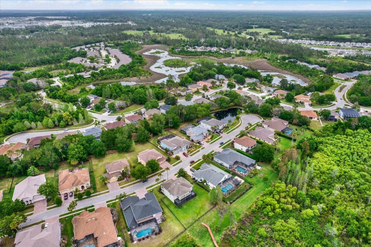 21610 Draycott Way, Land O Lakes, FL 34637 Photo