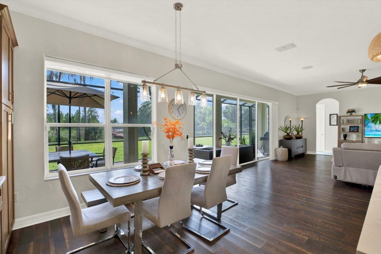 21610 Draycott Way, Land O Lakes, FL 34637 Photo
