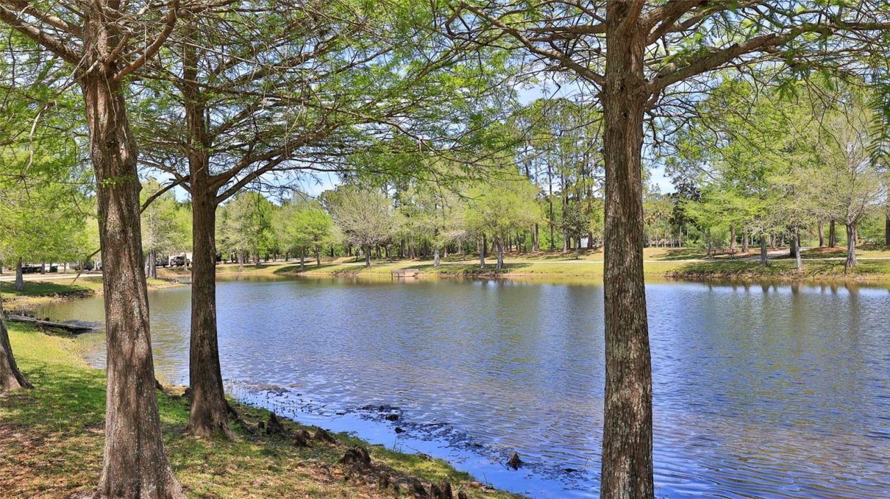 6171 Sabal Point Circle , Port Orange, FL 32128 Photo