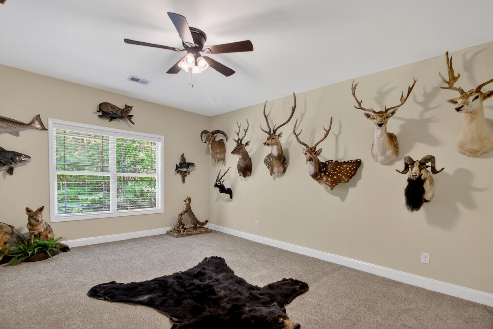 1206 Red Buckeye Court Photo 58