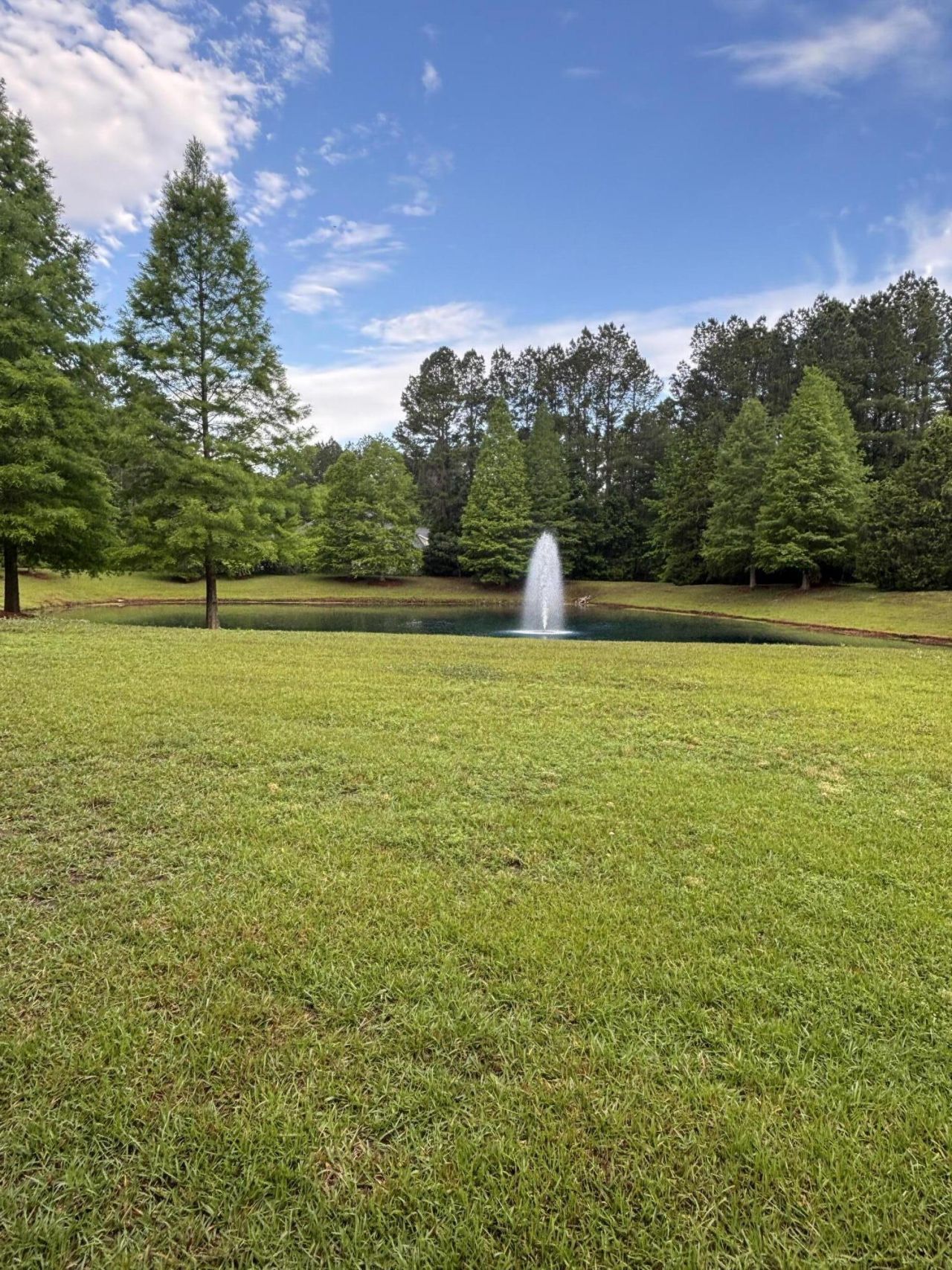 1206 Red Buckeye Court Photo 75