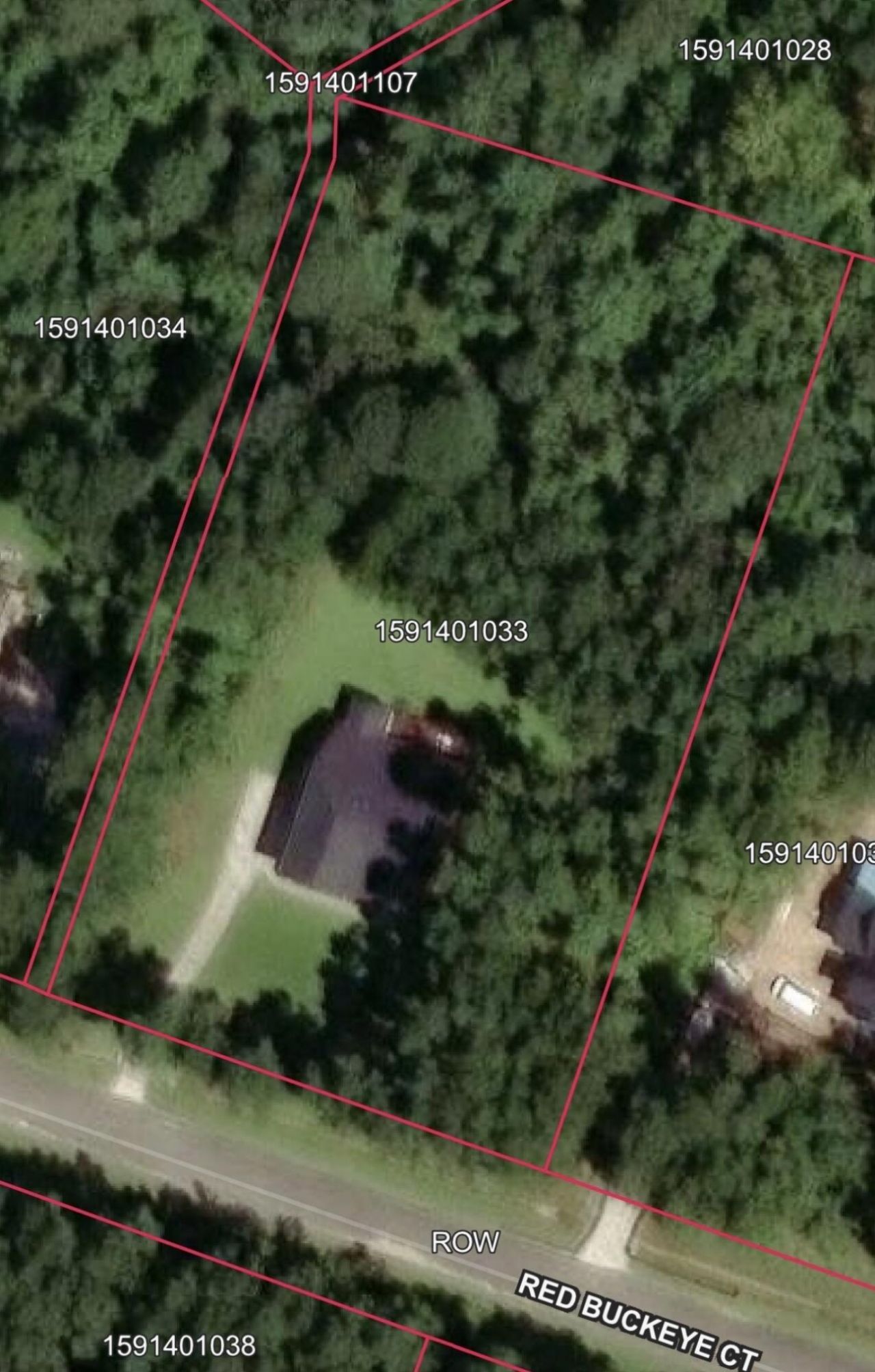 1206 Red Buckeye Court Photo 89