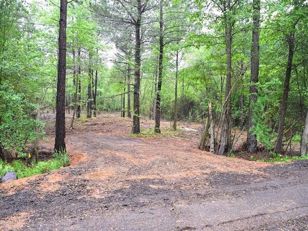 0 Collins Road, Nash, TX 75569