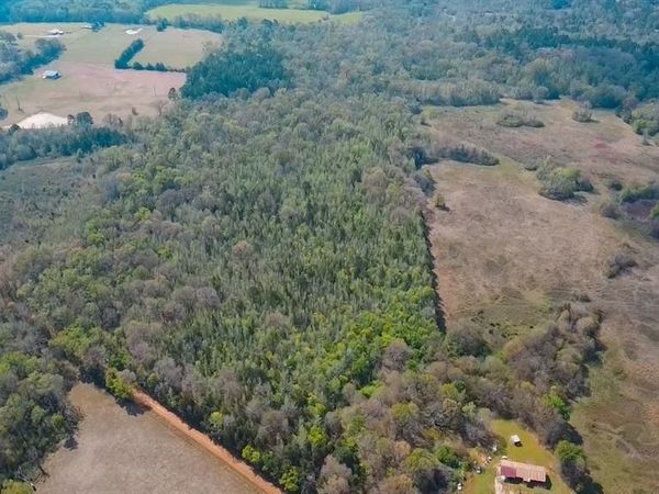 TBD CR 4308 Reno Rd, Naples, TX 75568