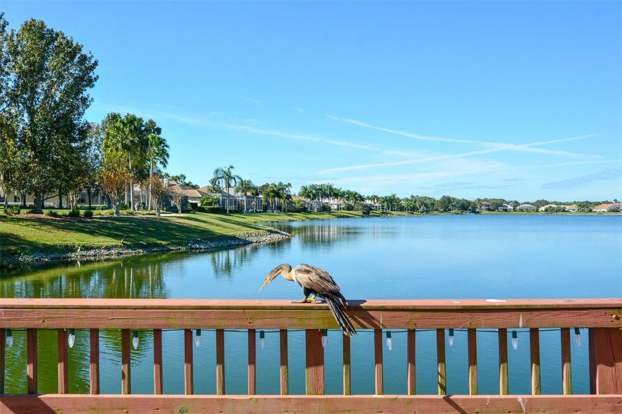 6716 Spring Moss Place, Lakewood Ranch, FL 34202 Photo