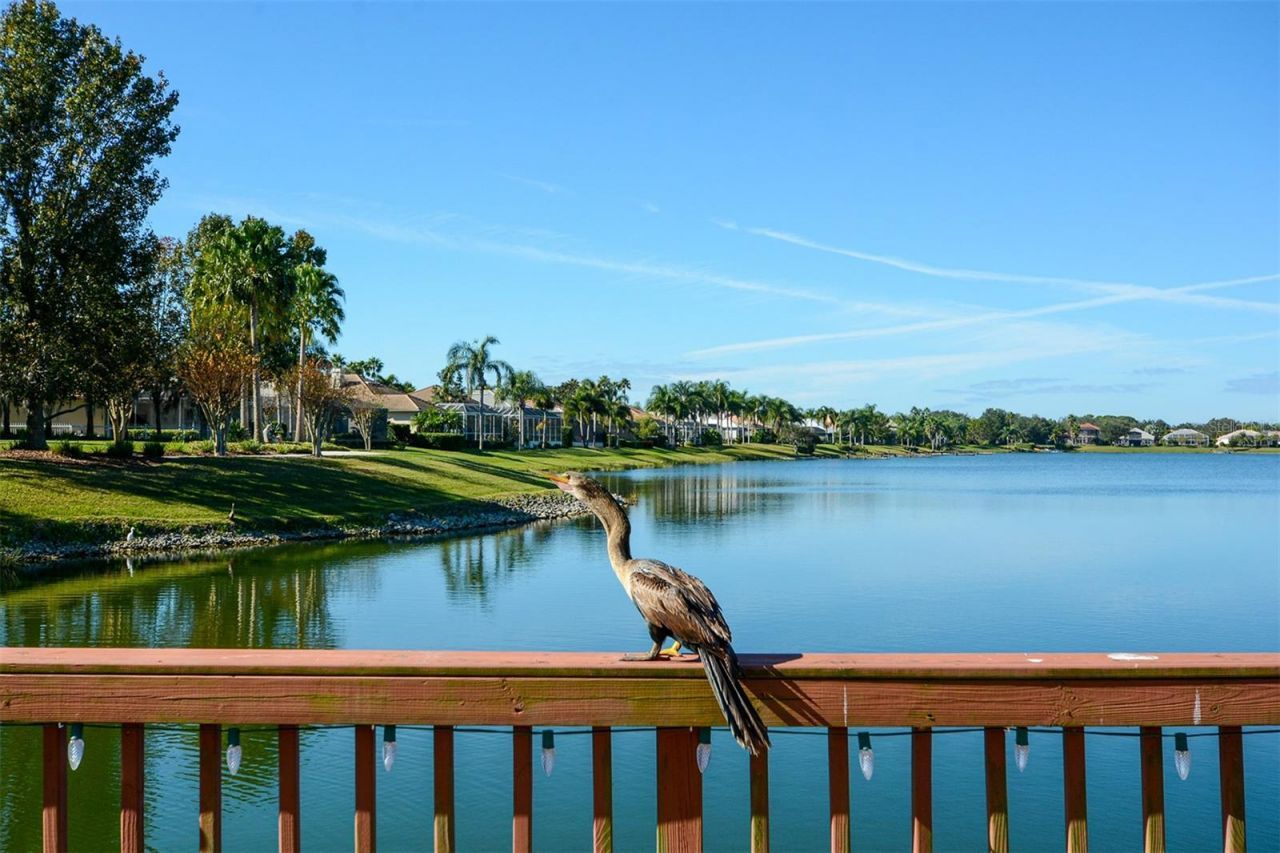 6716 Spring Moss Place, Lakewood Ranch, FL 34202 Photo