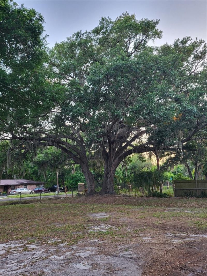 4454 Edwards Road, Plant City, FL 33567 Photo